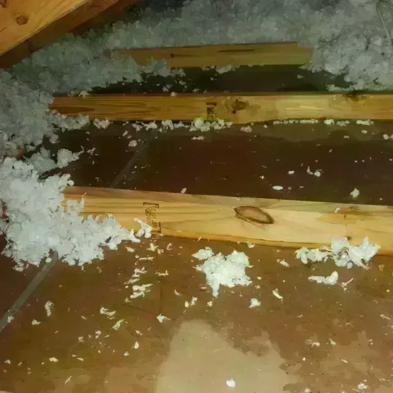 Attic Water Damage in Atlanta, TX