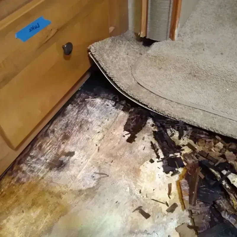 Wood Floor Water Damage in Atlanta, TX